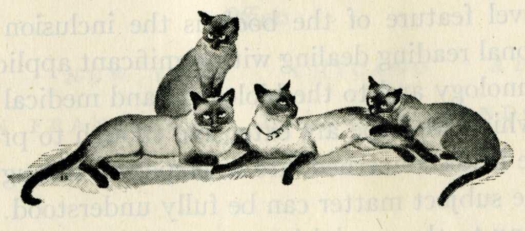 One of the many whimsical illustrations of the Fieser’s cats that were included in their textbooks.
