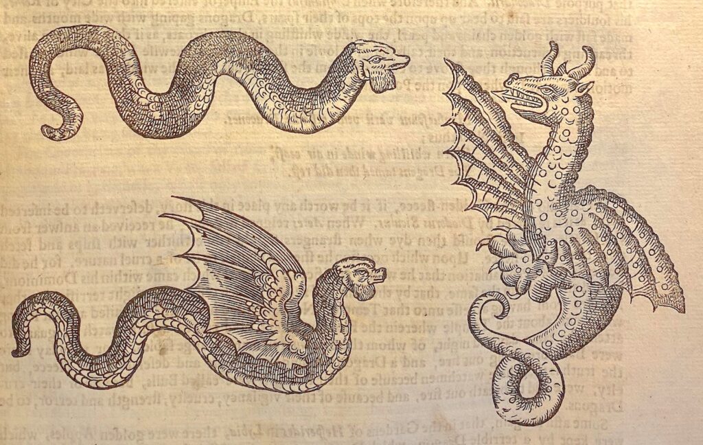 Illustration of various dragons